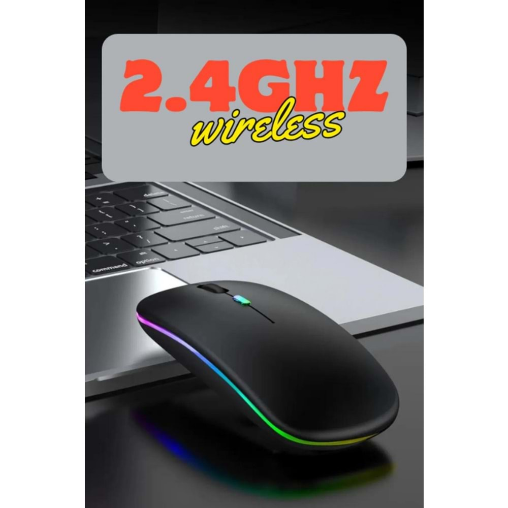 POLYGOLD PG-9009 ŞARJLI WIRELESS MOUSE