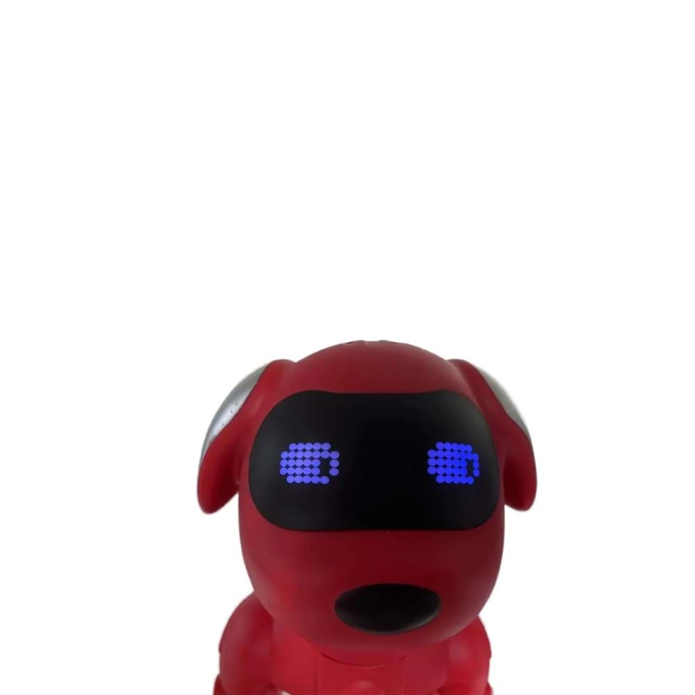 CH-M66 KÖPEK BLUETOOTH SPEAKER