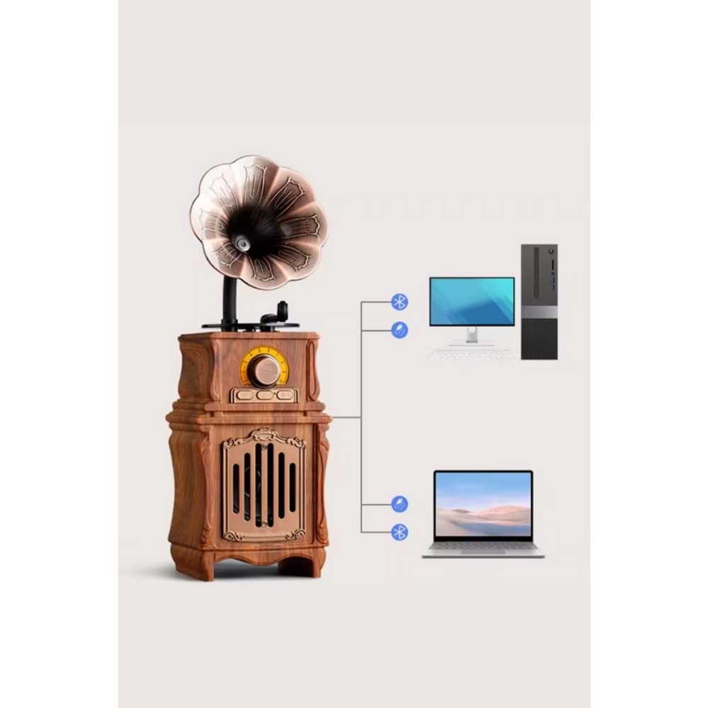 PG-AS31 GRAMAFON BLUTOOTH NOSTALJİK SPEAKER