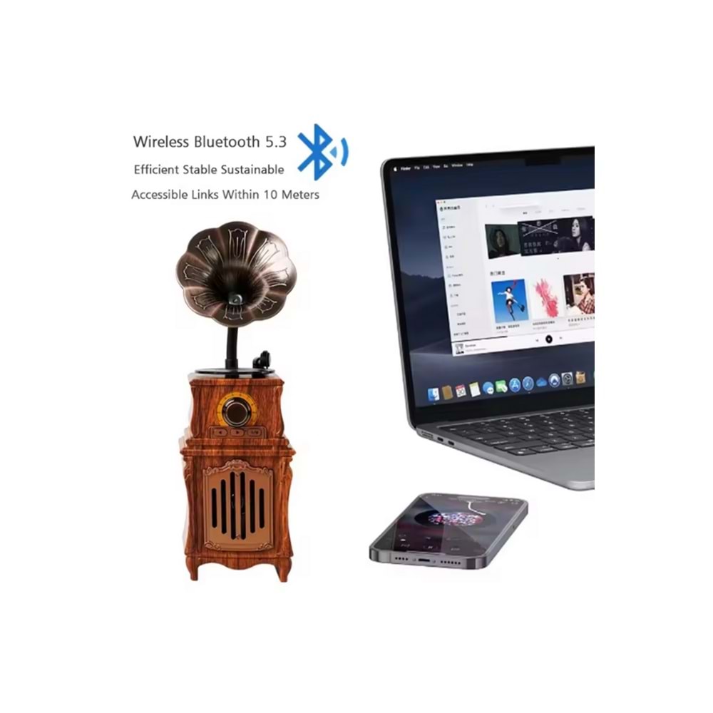 PG-AS31 GRAMAFON BLUTOOTH NOSTALJİK SPEAKER
