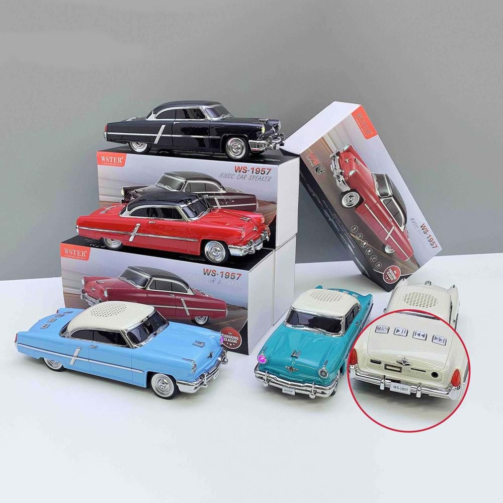 PG-WS1957 ARABALI BLUETOOTH MÜZİK ÇALAR