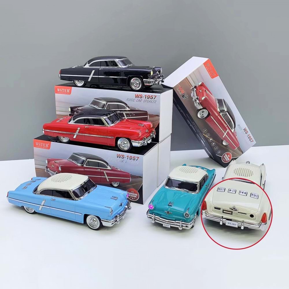 PG-WS1957 ARABALI BLUETOOTH MÜZİK ÇALAR