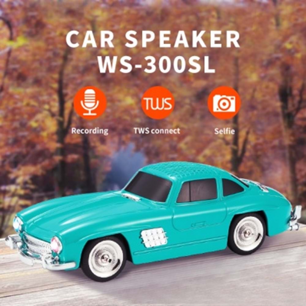 PG-WS300SL ARABALI BLUETOOTH MÜZİK ÇALAR