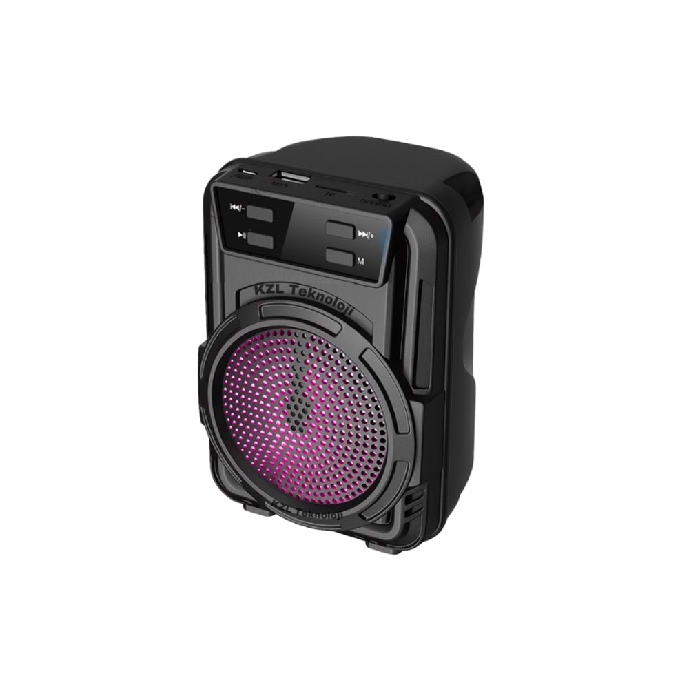 GTS-1346 IŞIKLI BLUETOTH SPEAKER