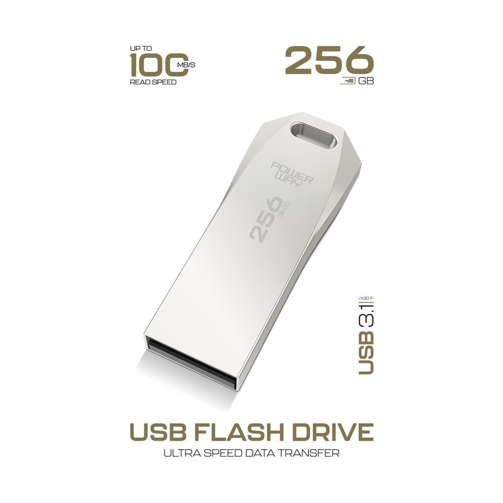Powerway Premium 256 GB USB 3.1 Metal Gövde Ultra Hızlı Flash Bellek Data Traveler