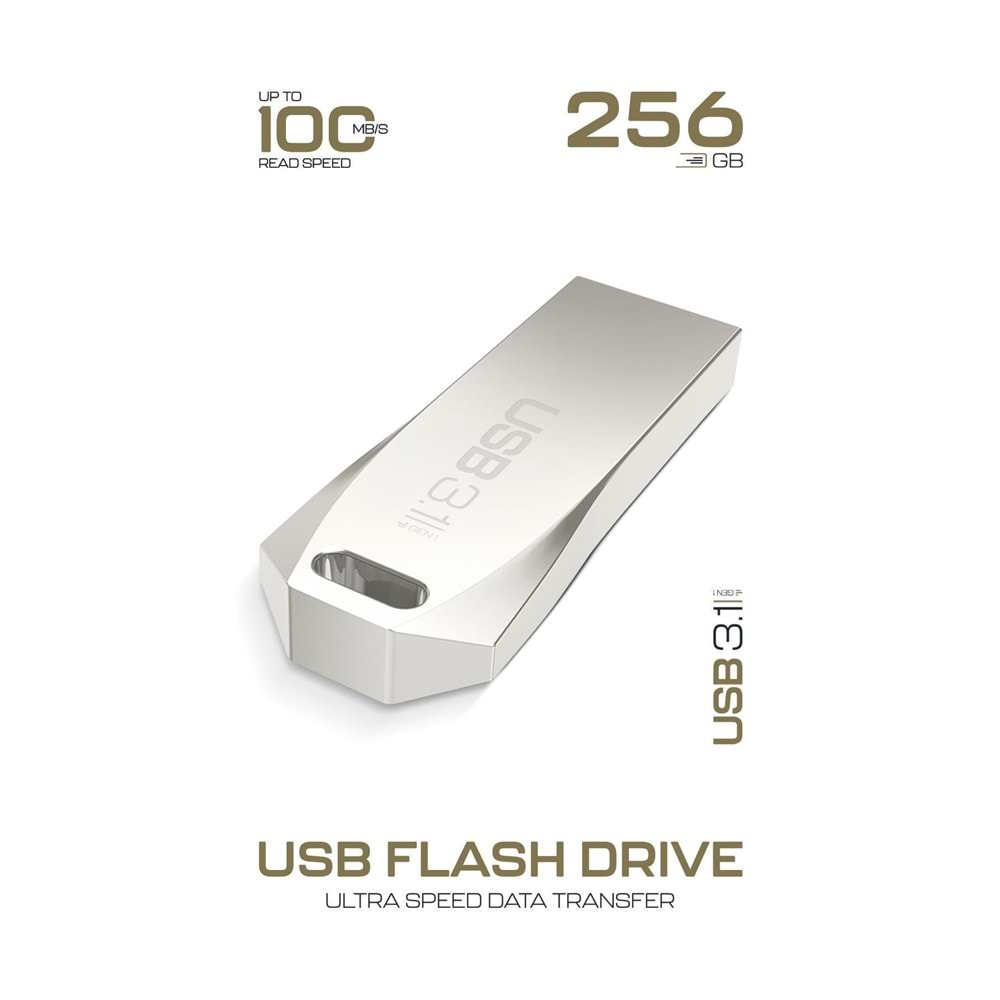 Powerway Premium 256 GB USB 3.1 Metal Gövde Ultra Hızlı Flash Bellek Data Traveler