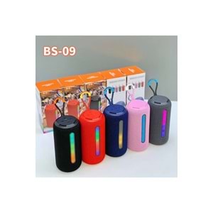 BS-09 IŞIKLI BLUETOOTH SPEAKER
