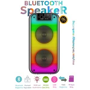 GTS-1873 IŞIKLI BLUETOOTH SPEAKER