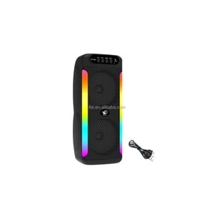PG-4261 IŞIKLI MİKROFONLU BLUETOOTH SPEAKER