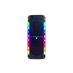 PG-4261 IŞIKLI MİKROFONLU BLUETOOTH SPEAKER