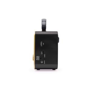PG-M131 BLUTOOTH NOSTALJİK RADYO