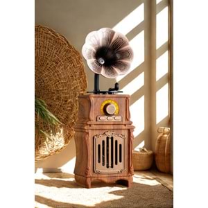 PG-AS31 GRAMAFON BLUTOOTH NOSTALJİK SPEAKER