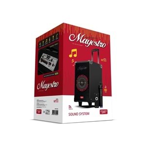 Powerway MT50 Şarjlı Mikrofonlu Hoparlör Karaoke Sistemi Taşınabilir Amfi Büyük Bluetooth Hoparlör