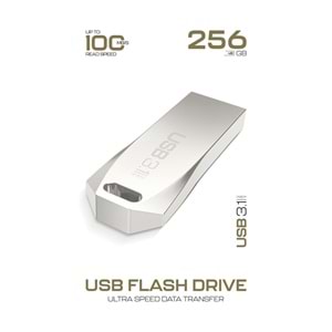 Powerway Premium 256 GB USB 3.1 Metal Gövde Ultra Hızlı Flash Bellek Data Traveler