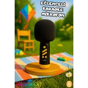 DS106 ORJİNAL KARAOKE MİKROFON