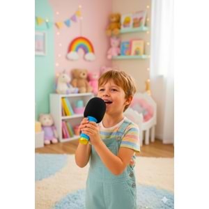 DS106 ORJİNAL KARAOKE MİKROFON