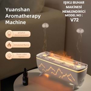 V72 IŞIKLI BUHAR MAKİNESİ NEMLENDİRİCİ // LEERFEI