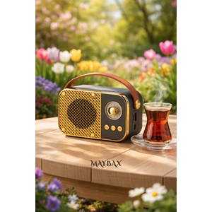 PG-M24 SPEAKER PORTABLE WIRELESS