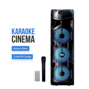 PG-8838 IŞIKLI KABLOSUZ MİKROFUNLU BLUETOOTH SPEAKER