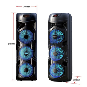 PG-8838 IŞIKLI KABLOSUZ MİKROFUNLU BLUETOOTH SPEAKER
