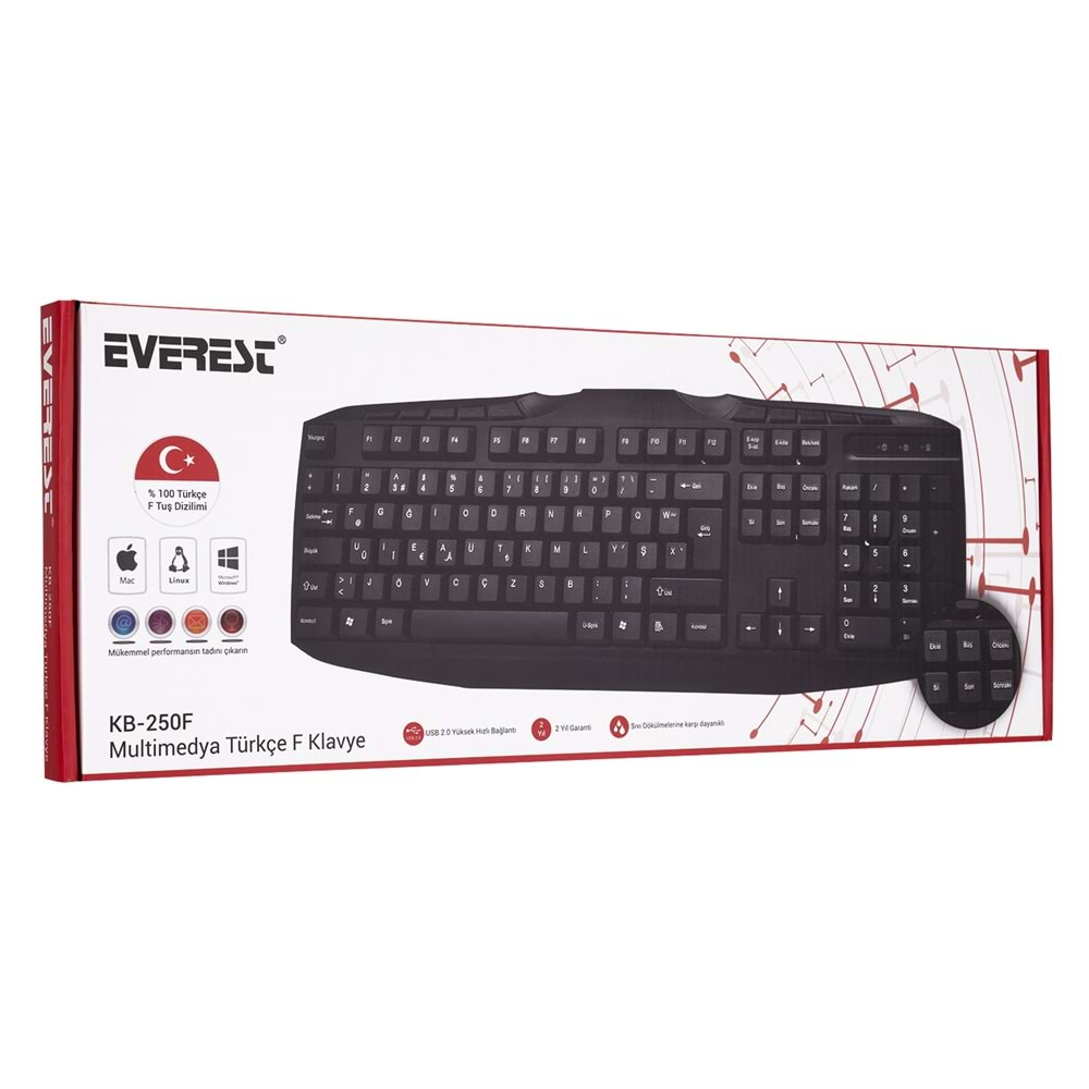 EVEREST KB-250F SİYAH USB TAMAMEN TÜRKÇE F MULTIMEDIA KLAVYE