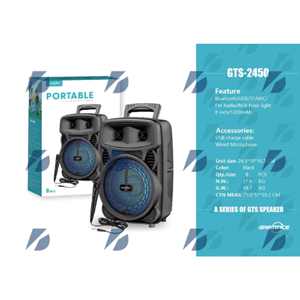 GTS-2450 IŞIKLI MİKROFONLU SES SİSTEMİ
